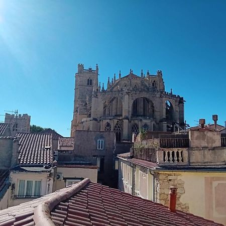 Studio Terrasse Vue Cathedrale 纳博讷 外观 照片