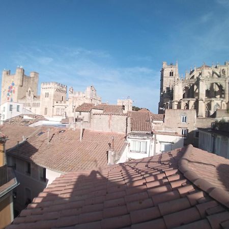 Studio Terrasse Vue Cathedrale 纳博讷 外观 照片