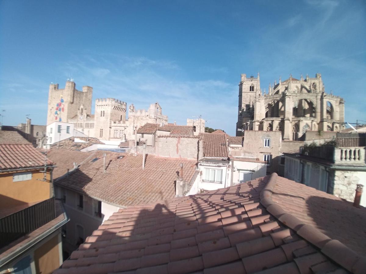 Studio Terrasse Vue Cathedrale 纳博讷 外观 照片